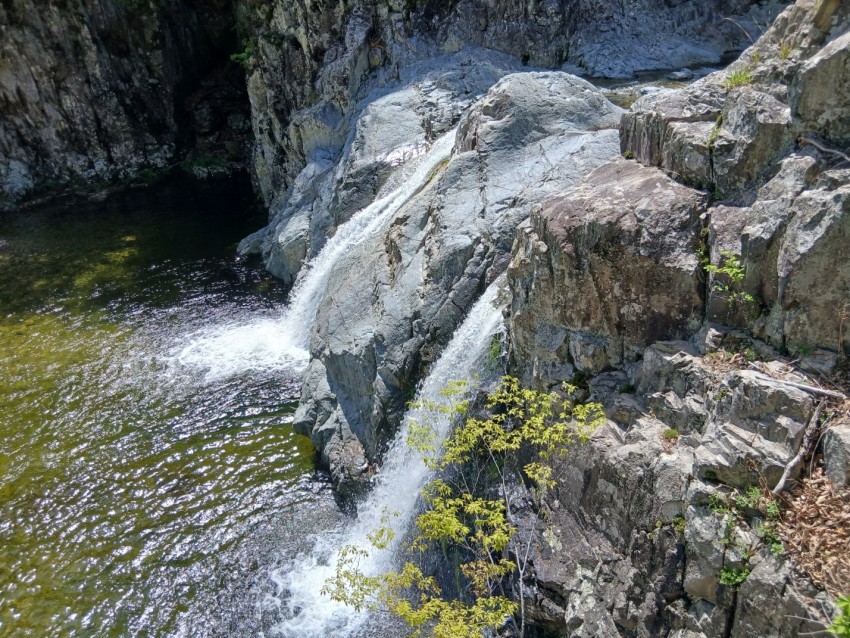 66ce117f2d85844656fa0464c1bc9c39_1776844299_57.jpg